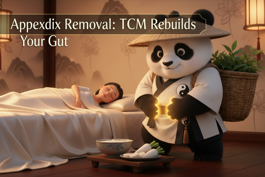Appendix Removal Recovery: What TCM Says About Rebuilding Gut Health After Surgery