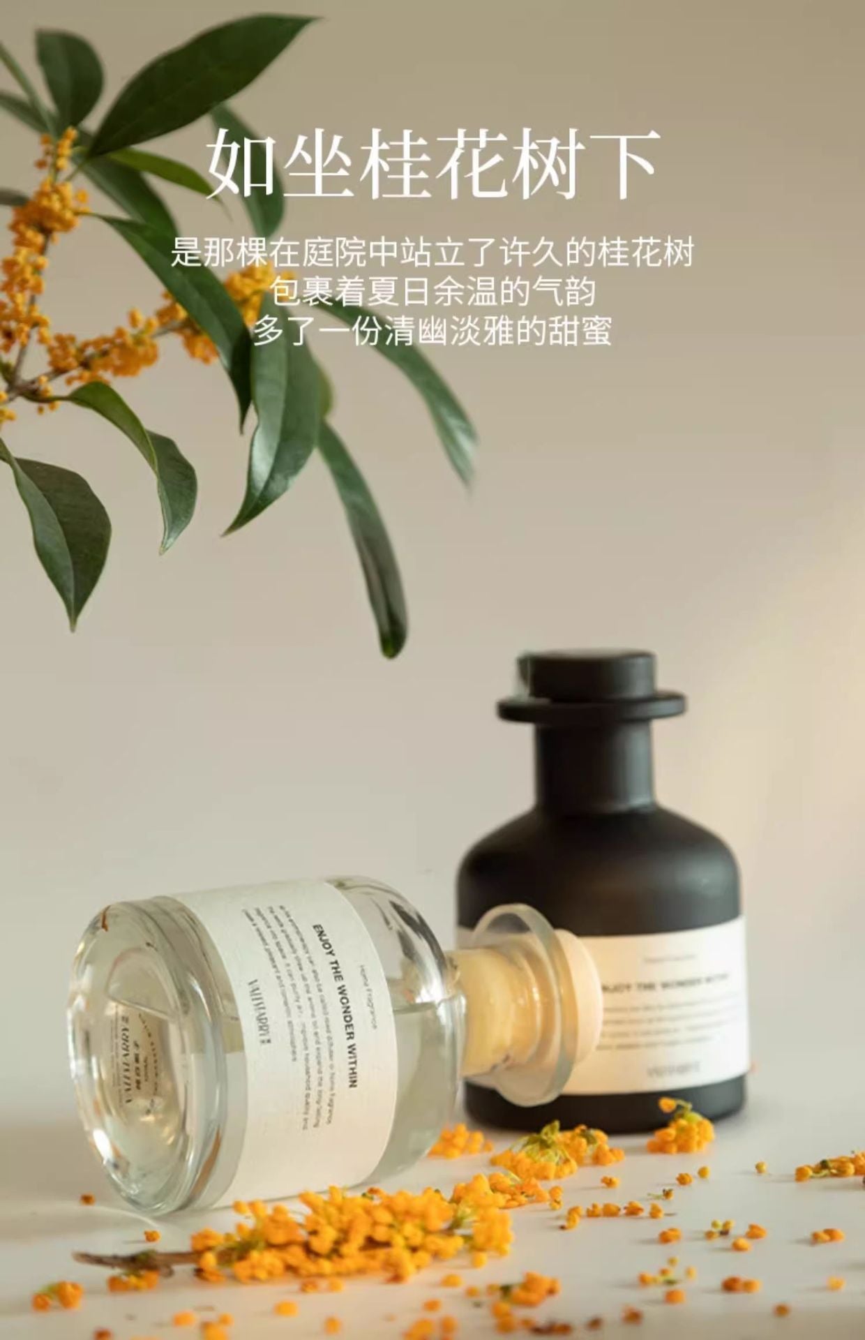 d97c7c62-8195-45a6-81b9-b9249853da51