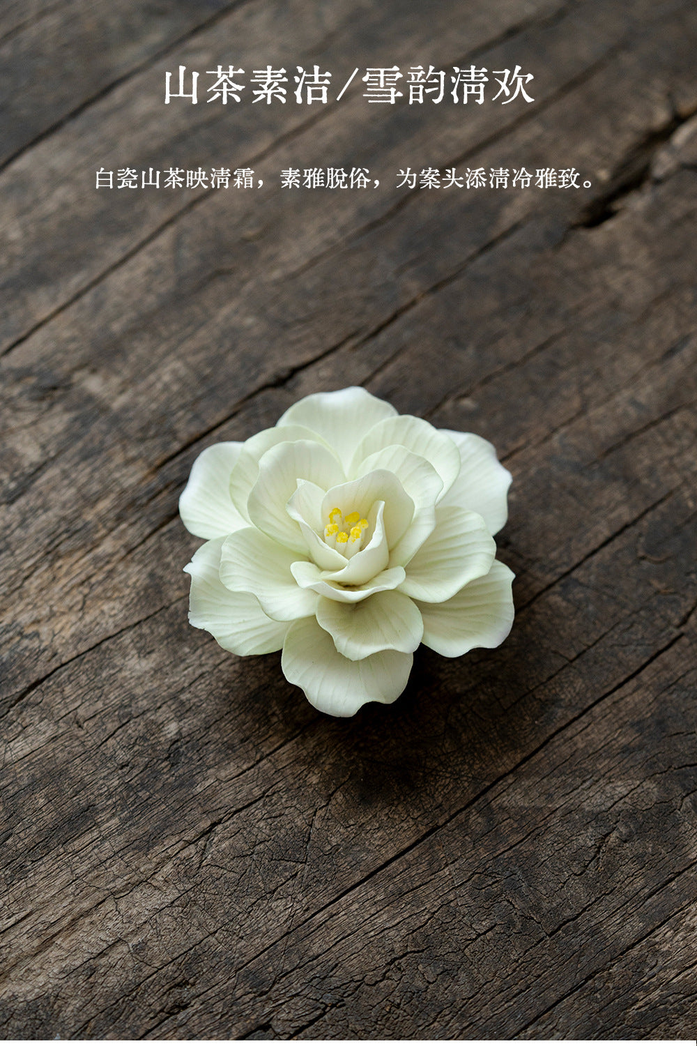 37f554c7-b518-4c42-8ab8-646400895268