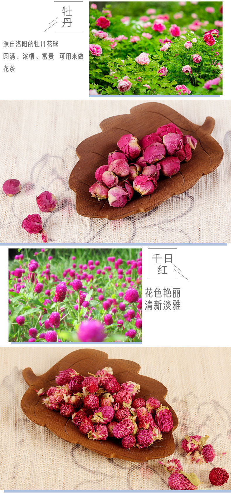 d9504e03-300b-46d1-b8ae-86cec10c7818