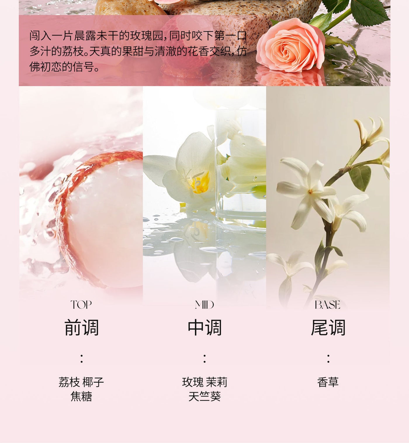 c2b87c82-a1e3-4cca-b124-6c2852ad936c