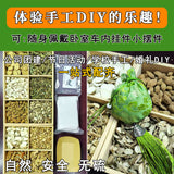 1c561a36-84c7-4f3c-9297-b397a3b233e1