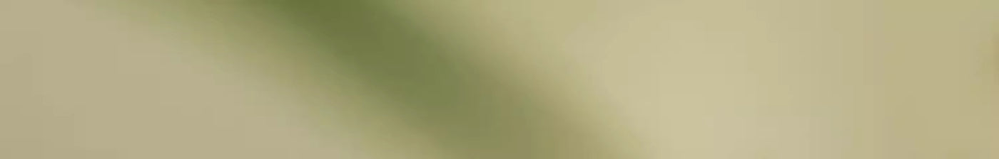 99a92116-fce1-4d81-81fa-aa1f03801bc6