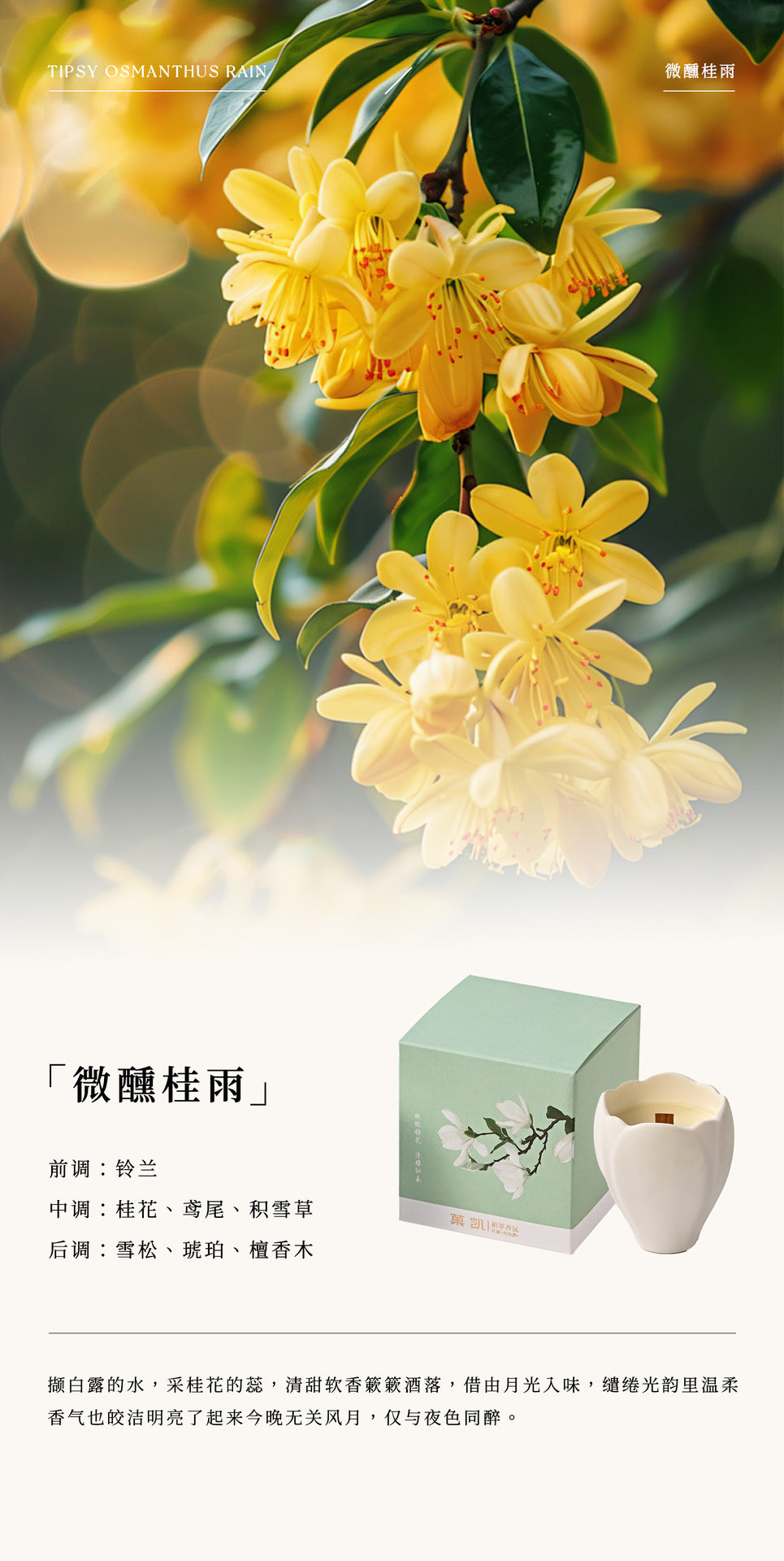 895681ee-76b8-4c58-bb1a-124109e77d50