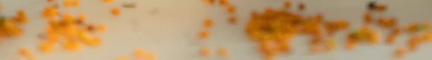 ef467881-21f2-4769-b220-36986047b09b
